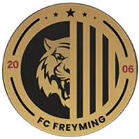 Freyming