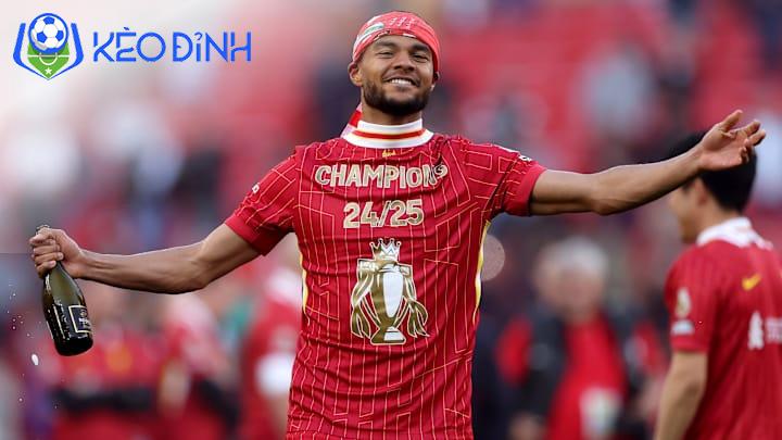 Cody Gakpo discovers punishment for Liverpool’s title win celebrations